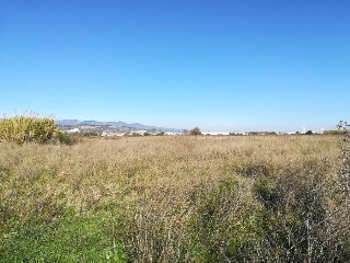 Suelo Polígono 5 Parcela 3