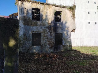 Oro 29