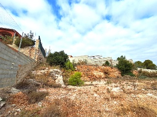 Seda 7