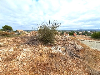 Seda 9