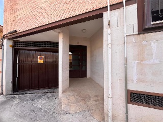Pardo 5