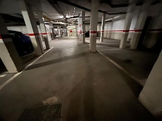 Pardo 6
