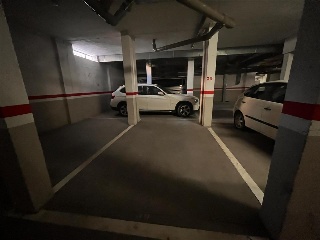 Pardo 7