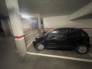 Pardo 8