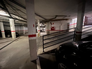 Pardo 9