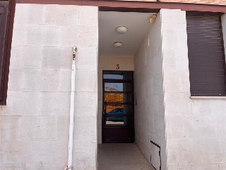 Pardo 12