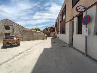 Pardo 14
