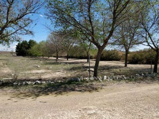 Suelo rústico en Paraje La Alacera, Caudete (Albacete) 15