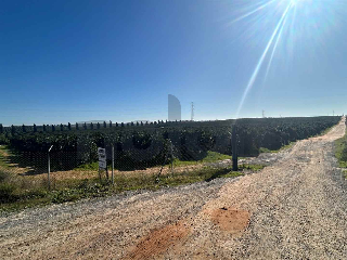 otros en venta , Alcala De Guadaira , 116928 m2 11
