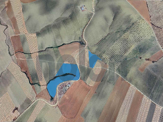 otros en venta , Olivares , 27556 m2 6