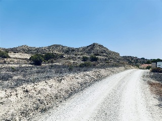 Poligono 19 10