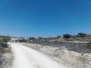 Poligono 19 14