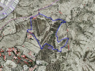 Poligono 19 19