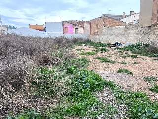 San José 7