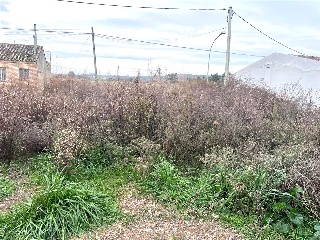 San José 5