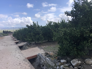 PARAJE EMBASTIDA O BASTIDA 17