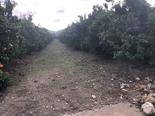 PARAJE EMBASTIDA O BASTIDA 20