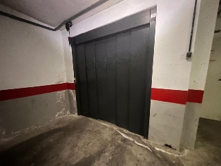 Pardo 8
