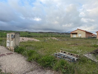 SAN ROQUE 13