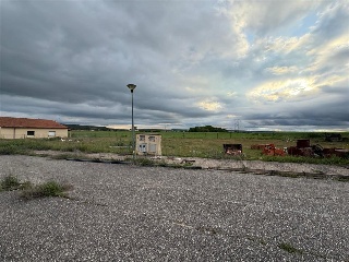 SAN ROQUE 15