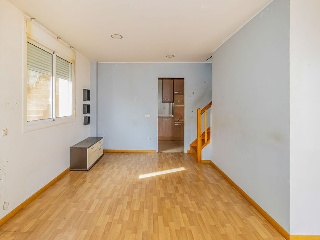 Avet 11