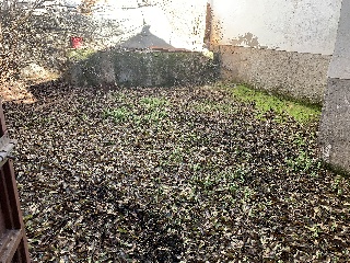 Agustin Ordoñez 12