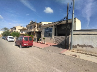 Palmeral 5