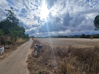 DUERO BAJO 2