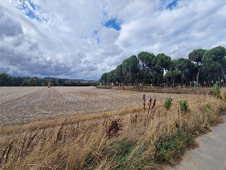 DUERO BAJO 3