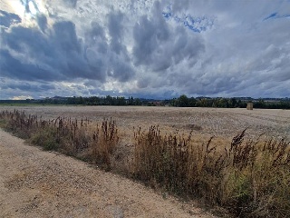 DUERO BAJO 4