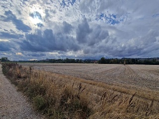 DUERO BAJO 5