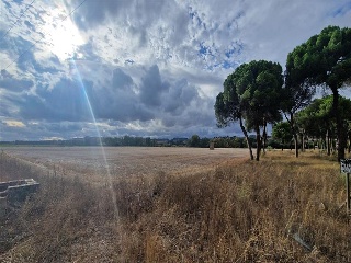 DUERO BAJO 6