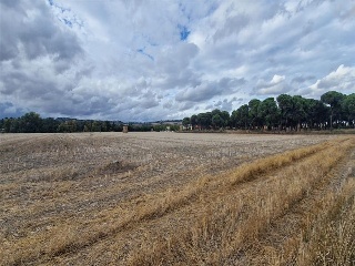 DUERO BAJO 7