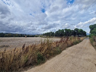 DUERO BAJO 8