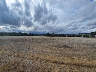 DUERO BAJO 9