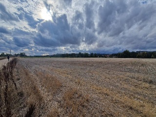 DUERO BAJO 10