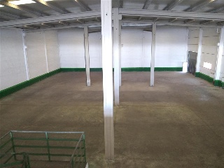 BORDEREA CRT 7