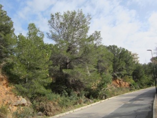 RONDA DE LA MARINA 8