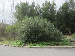 RONDA DE LA MARINA 9