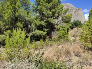 RONDA DE LA MARINA 10