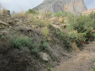 RONDA DE LA MARINA 11