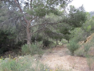 RONDA DE LA MARINA 13