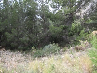 RONDA DE LA MARINA 15
