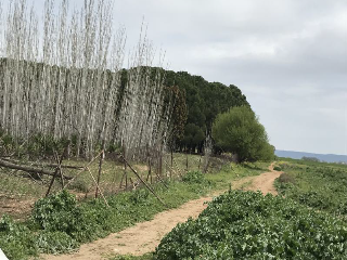 Otros en venta en Alcalá De Henares