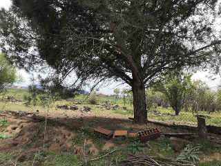 CAMINO DEL PORCILLO, Polígono 3 Parcela 28 3