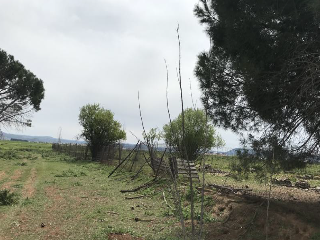 CAMINO DEL PORCILLO, Polígono 3 Parcela 28 4