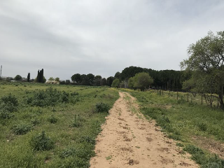 CAMINO DEL PORCILLO, Polígono 3 Parcela 28 5