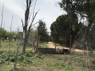 CAMINO DEL PORCILLO, Polígono 3 Parcela 28 6