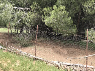CAMINO DEL PORCILLO, Polígono 3 Parcela 28 7