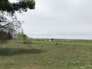 CAMINO DEL PORCILLO, Polígono 3 Parcela 28 8